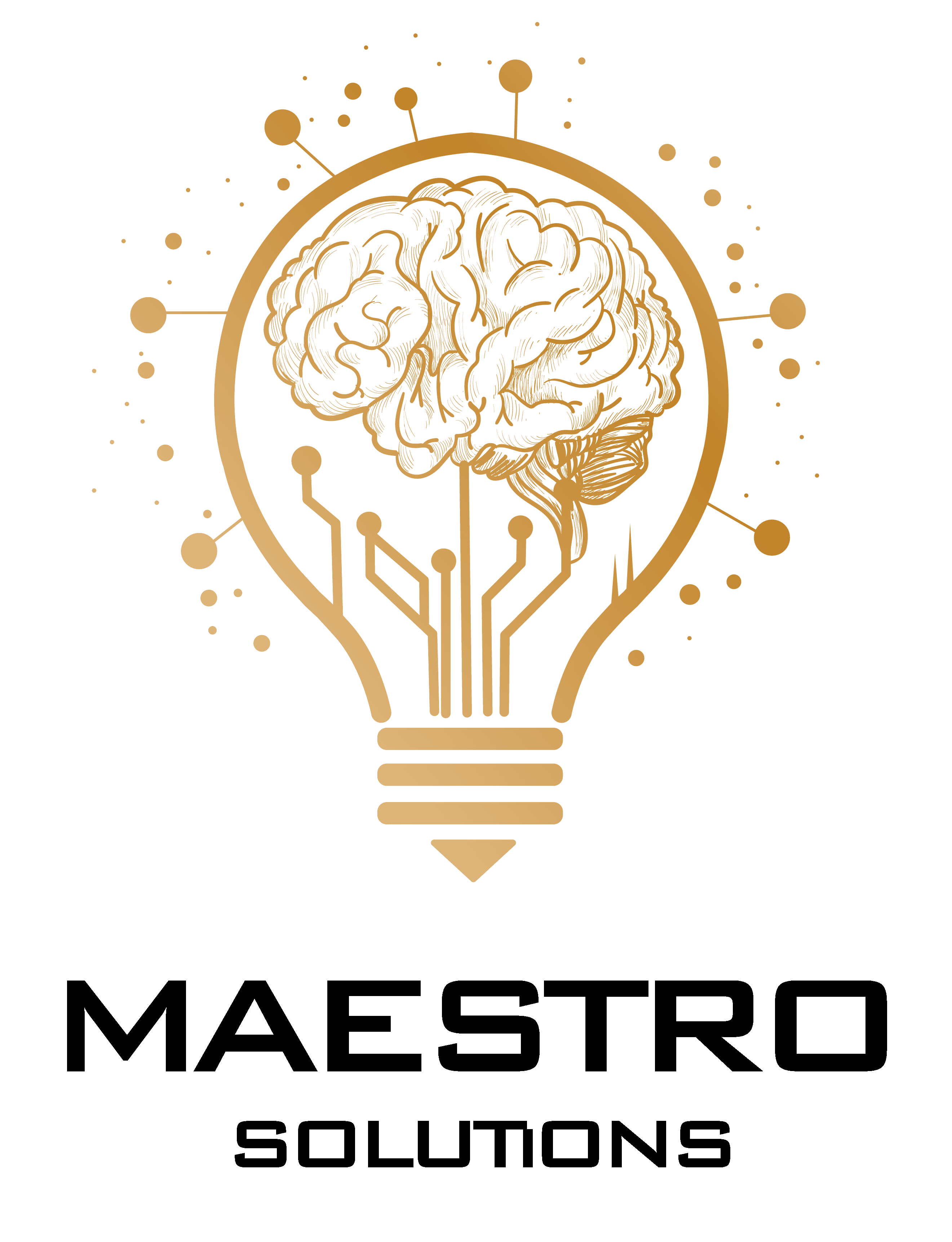 Maestro Solutions Light